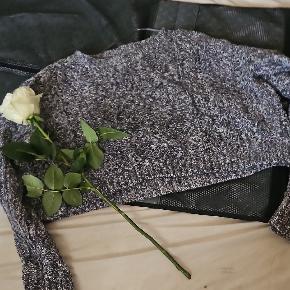La Hearts Blue and White Crew Neck Sweater